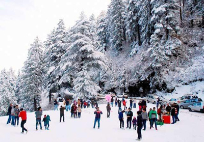 Snow Trails Resort